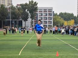 大联盟正式引入“外卡”制度，增加了季后赛的悬念与球队入围机会