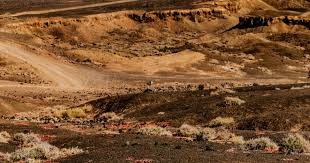 杜锋愣头青！杜润旺张文逸上场攻守全崩仍坚持用，真不打算弃用？