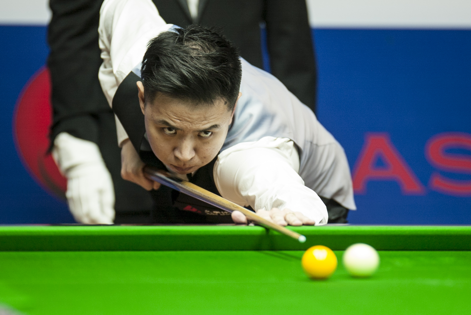 球迷喜爱的 球迷喜爱的